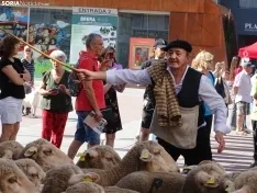 Una imagen del paso de las merinas por la capital. /PC