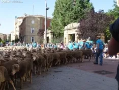 Una imagen del paso de las merinas por la capital. /PC