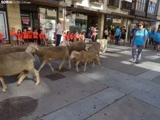 Una imagen del paso de las merinas por la capital. /PC