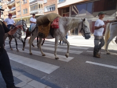 Una imagen del paso de las merinas por la capital. /PC