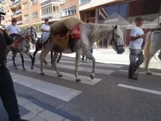 Una imagen del paso de las merinas por la capital. /PC
