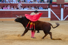 Una imagen de San Benito este Domingo de Calderas. 