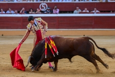 Una imagen de San Benito este Domingo de Calderas. 