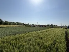 Foto 8 - Nueva visita a los campos de ensayo de ASAJA: La organizaci&oacute;n agraria pide "legalizaci&oacute;n total" para el uso de drones