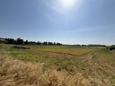 Foto 6 - Nueva visita a los campos de ensayo de ASAJA: La organizaci&oacute;n agraria pide "legalizaci&oacute;n total" para el uso de drones