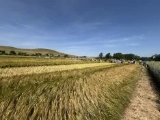 Foto 4 - Nueva visita a los campos de ensayo de ASAJA: La organizaci&oacute;n agraria pide "legalizaci&oacute;n total" para el uso de drones