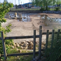 Una imagen del parque. 