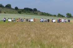 Una imagen de la visita a los campos de cultivo que Copiso tiene en Almazán. /Copiso