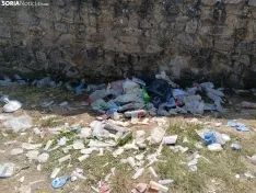 Foto 13 - FOTOS| El botell&oacute;n llena de basura Valonsadero