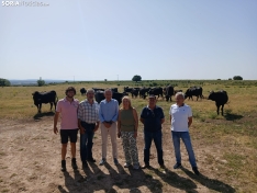 Foto 3 - La Junta muestra su apoyo a la vaca serrana negra con una visita a una explotación en La Muela