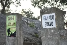 Foto 24 - 11+1 Los novillos de San Juan 2025, listos para La Saca