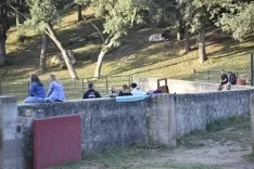Foto 23 - 11+1 Los novillos de San Juan 2025, listos para La Saca