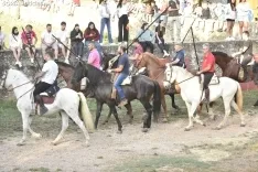 Foto 12 - 11+1 Los novillos de San Juan 2025, listos para La Saca