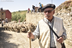 Fiesta de la Trashumancia 2025, en Oncala. /Encarna Muñoz