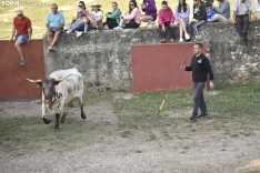 Foto 5 - 11+1 Los novillos de San Juan 2025, listos para La Saca