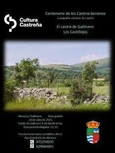 Foto 6 - Almarza viaja a los or&iacute;genes celtas: llega la expoci&oacute;n &lsquo;Cultura Castre&ntilde;a Soriana&rsquo;