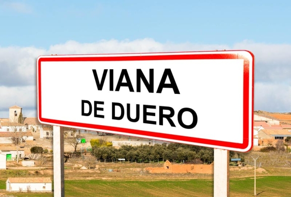 Hallazgo en Viana de Duero revela vida en el Paleolítico