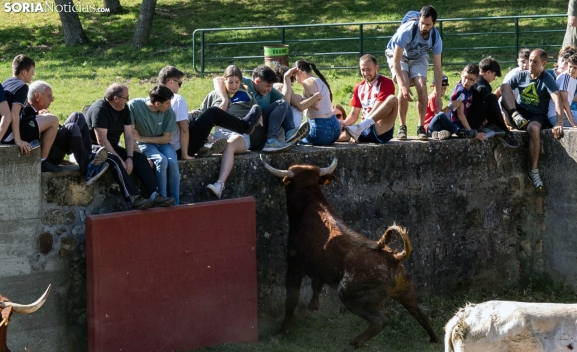 Mariposo, Polvorín o Bastoncito: así se llaman los astados protagonistas de La Saca