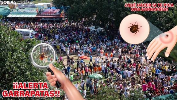 ¡Ojo con las garrapatas en Valonsadero! Por qué hay tantas, qué hacer si se te enganchan y otros trucos que necesitas saber