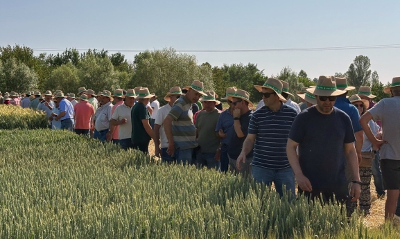 Nueva visita a los campos de ensayo de ASAJA: La organización agraria pide legalización total para el uso de drones