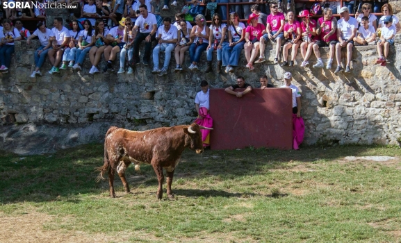 La lesión en uno de los novillos de La Saca obliga a reponerlo