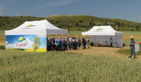 Este es el laboratorio de 6 hectáreas donde Copiso cultiva el futuro del cereal