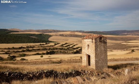 La Junta de Castilla y León reclama al Gobierno más financiación y una acción coordinada de todas sus políticas sectoriales a favor del reto demográfico