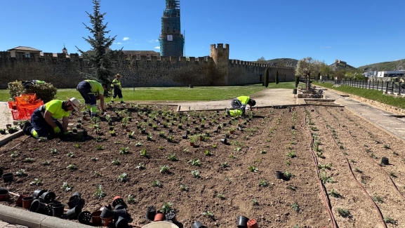 El Burgo de Osma atiende 40 hectáreas de zonas verdes en el casco urbano