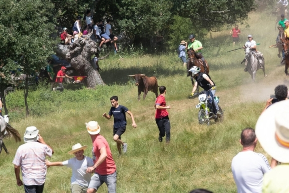 Nueve toros en la plaza, uno fugado, uno remolcado y otro agotado: Así ha sido la emocionante Saca 2025