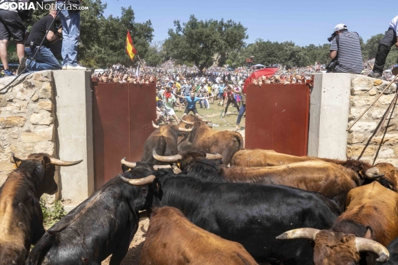 Limpia y espectacular: la salida de La Saca 2025 desata la locura