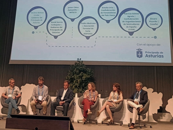 ASFOSO lleva al IX Congreso Forestal Español, en Asturias, su experiencia con Montes de Socios y con el proyecto Reconecta