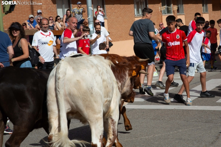 Carretones y Trashumancia infantil