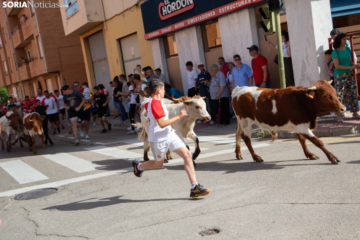Carretones y Trashumancia infantil