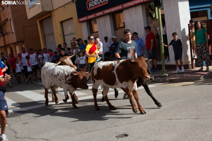 Carretones y Trashumancia infantil