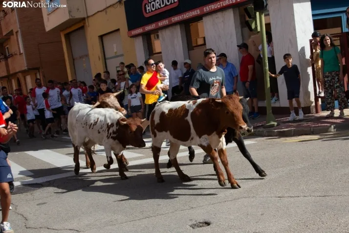 Carretones y Trashumancia infantil
