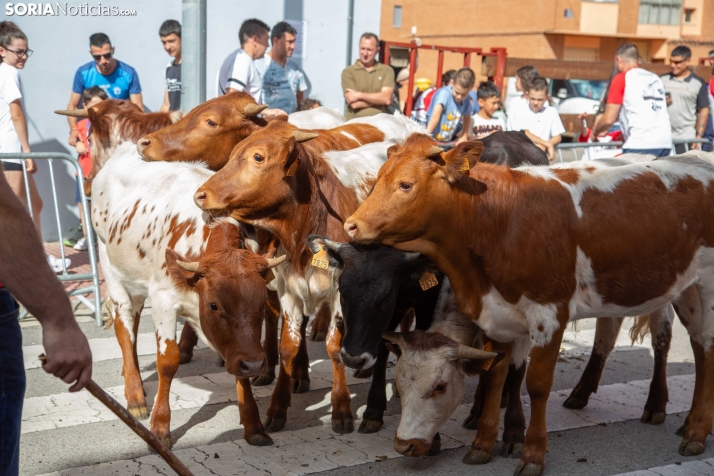 Carretones y Trashumancia infantil