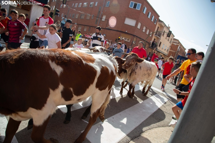 Carretones y Trashumancia infantil