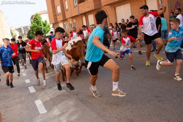 Carretones y Trashumancia infantil