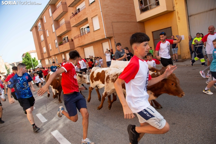 Carretones y Trashumancia infantil