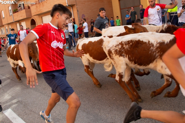 Carretones y Trashumancia infantil