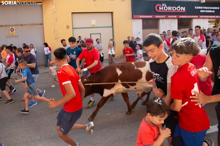Carretones y Trashumancia infantil