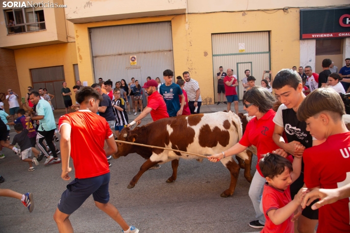 Carretones y Trashumancia infantil