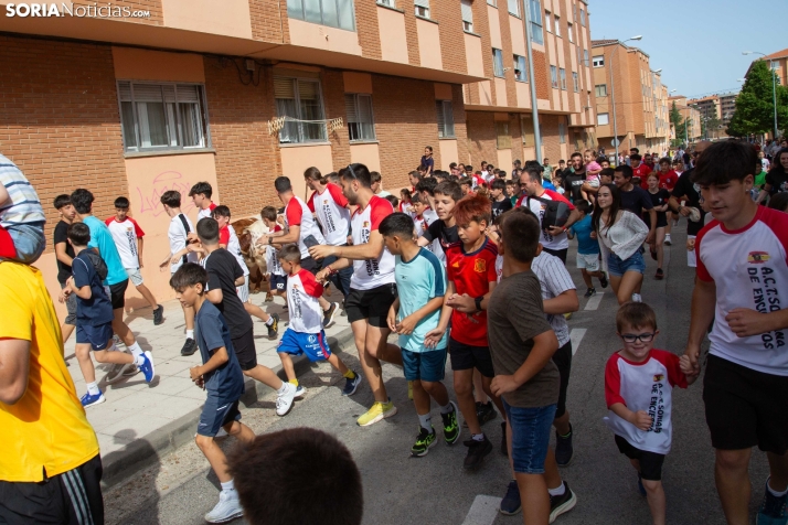 Carretones y Trashumancia infantil