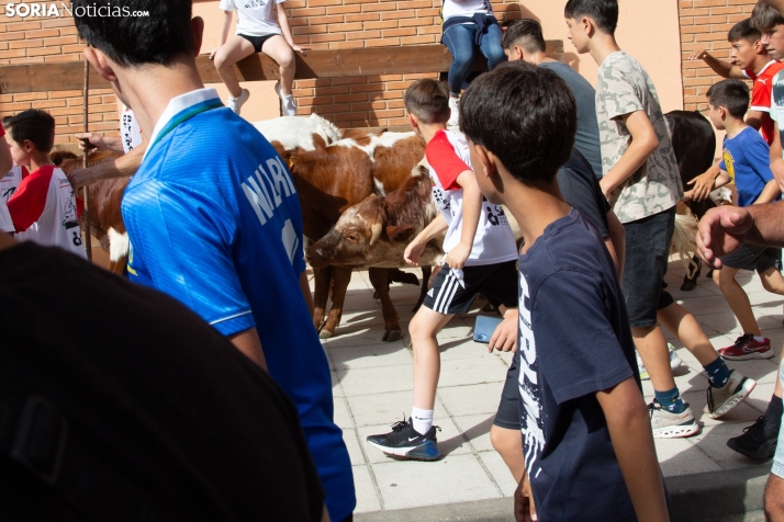 Carretones y Trashumancia infantil