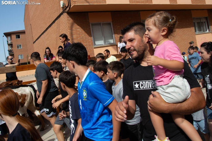 Carretones y Trashumancia infantil