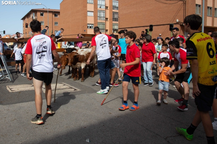Carretones y Trashumancia infantil