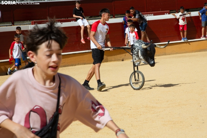 Carretones y Trashumancia infantil