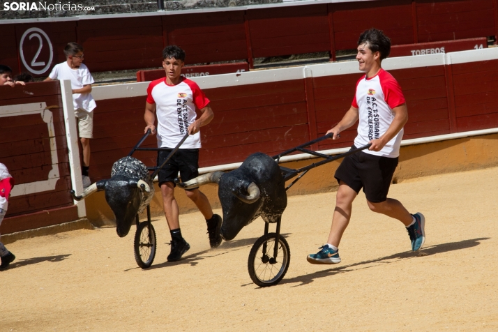 Carretones y Trashumancia infantil