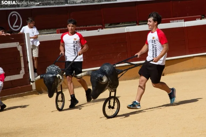 Carretones y Trashumancia infantil