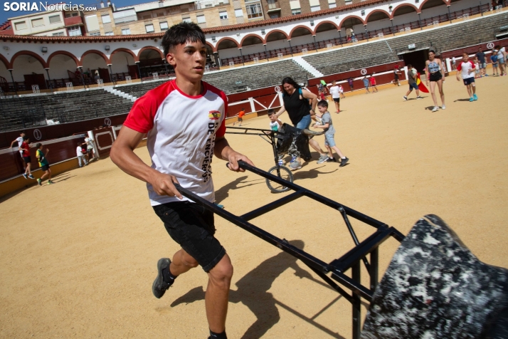 Carretones y Trashumancia infantil